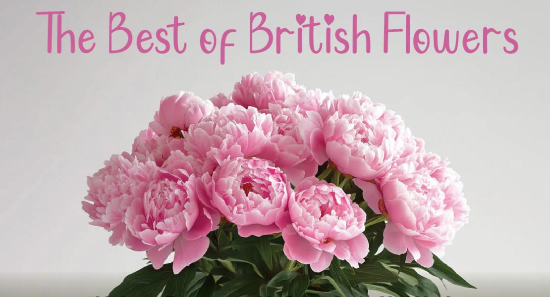 Sustainable Flower Festival
